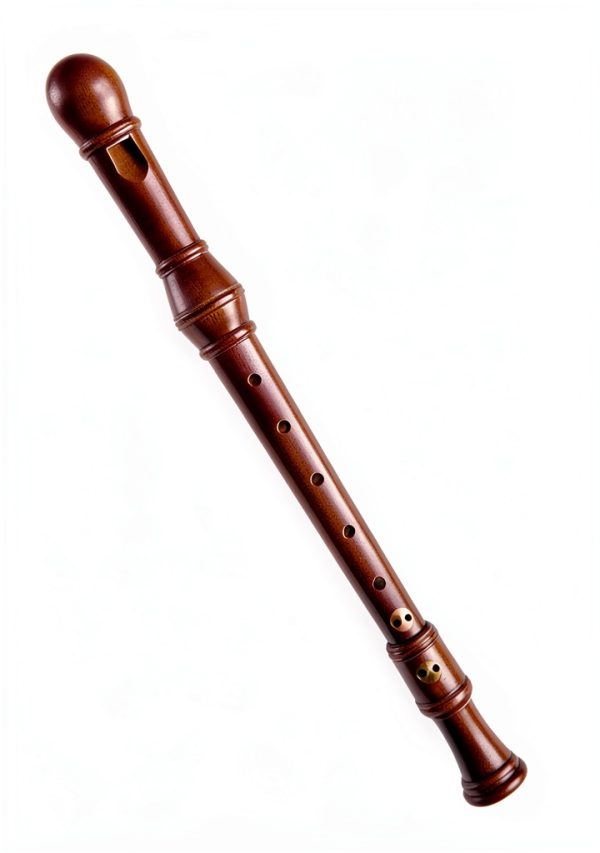 Recorder Songbook Mel Bay Beginner Fingerings 35 Page PDF eBook-0