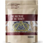 Bible Theology eBook by Zondervan Academic 228 Page Kindle-0