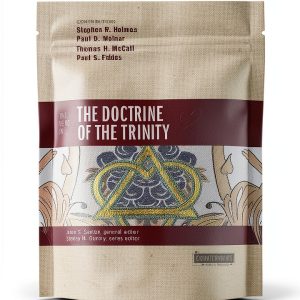 Bible Theology eBook by Zondervan Academic 228 Page Kindle-0