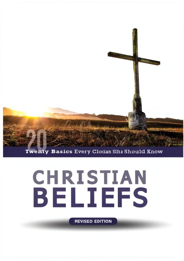 Christian Systematic Theology Kindle eBook Zondervan Academic 206-0